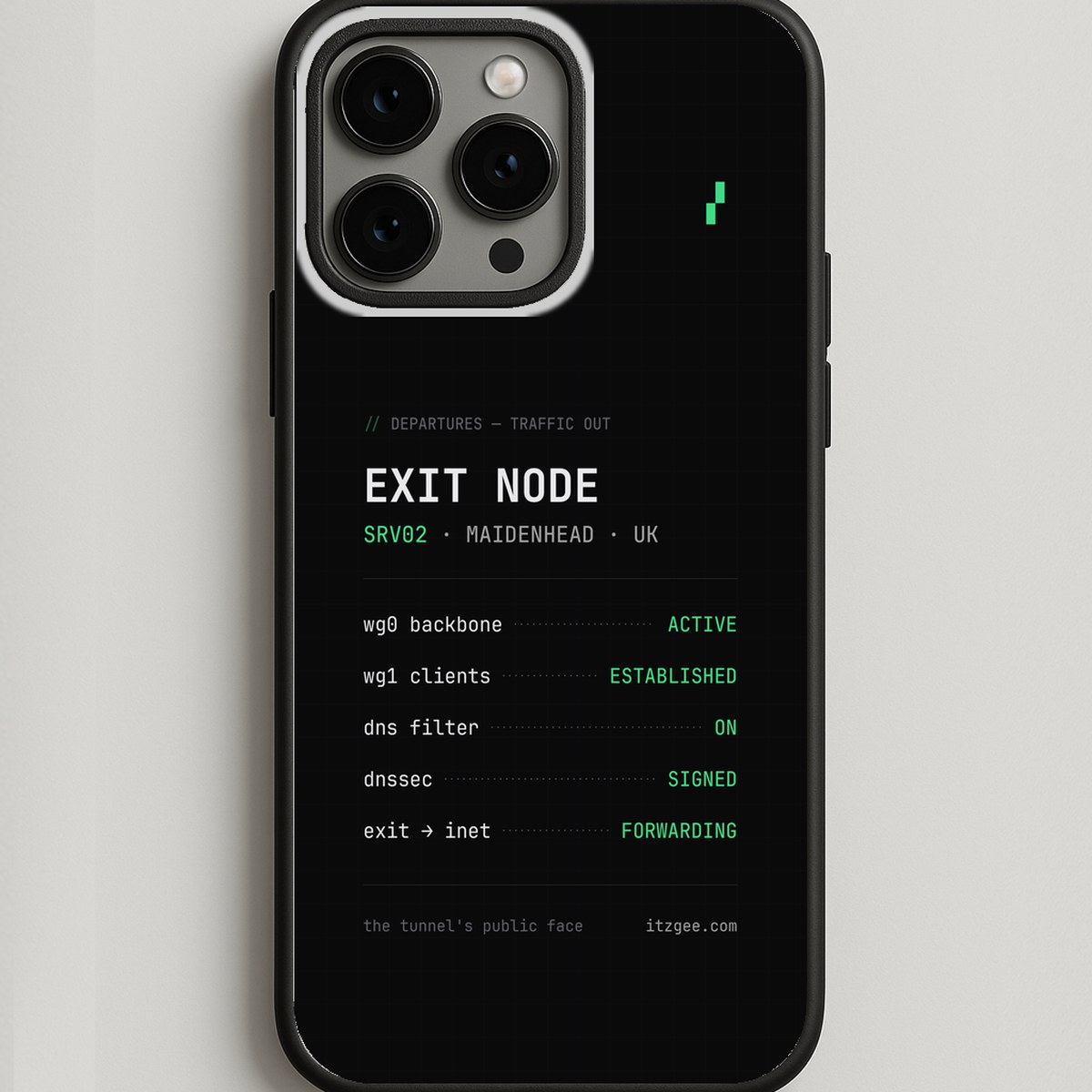 Exit Node Case
